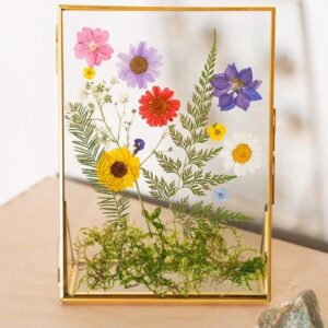 Red Vintage Real Natural Dried Pressed Flowers